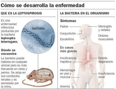 Sin Nombre