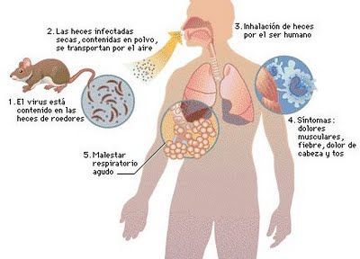 Sin Nombre