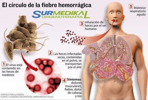 Sin Nombre
